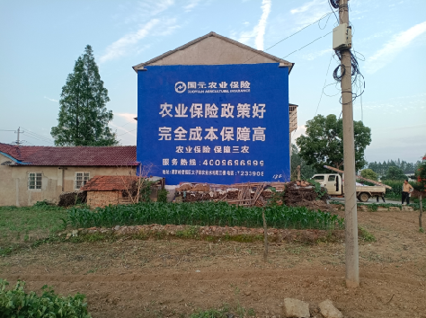 宁化墙体广告为何受追捧?